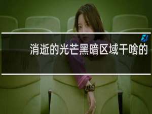 消逝的光芒黑暗区域干啥的