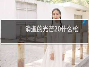 消逝的光芒 什么枪