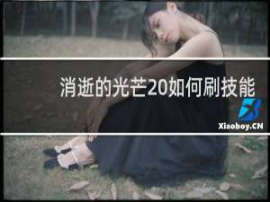 消逝的光芒 如何刷技能