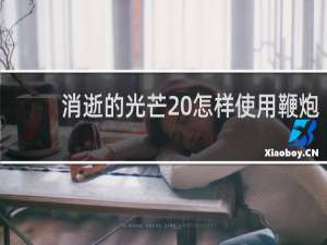 消逝的光芒 怎样使用鞭炮