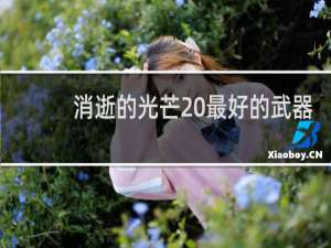 消逝的光芒 最好的武器