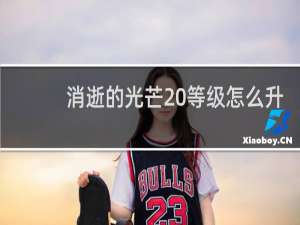 消逝的光芒 等级怎么升