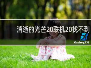 消逝的光芒 联机 找不到