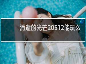 消逝的光芒 512能玩么