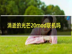 消逝的光芒 mod联机吗