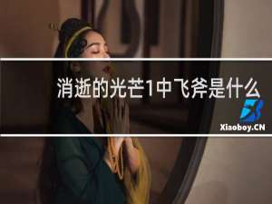 消逝的光芒1中飞斧是什么