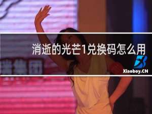 消逝的光芒1兑换码怎么用