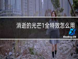 消逝的光芒1全特效怎么用