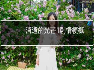 消逝的光芒1剧情梗概