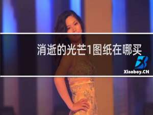 消逝的光芒1图纸在哪买