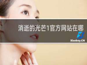 消逝的光芒1官方网站在哪