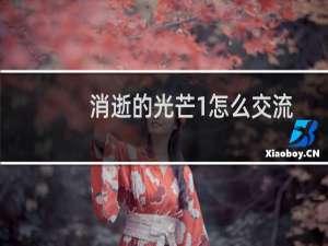 消逝的光芒1怎么交流