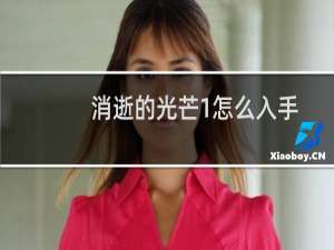 消逝的光芒1怎么入手