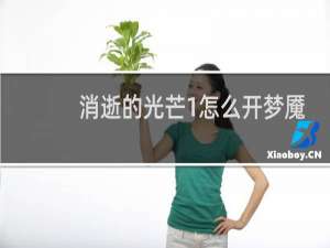 消逝的光芒1怎么开梦魇