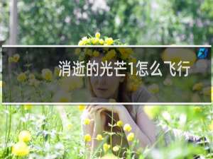 消逝的光芒1怎么飞行