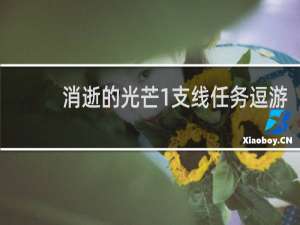 消逝的光芒1支线任务逗游
