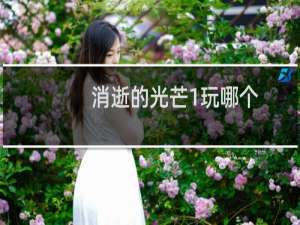 消逝的光芒1玩哪个