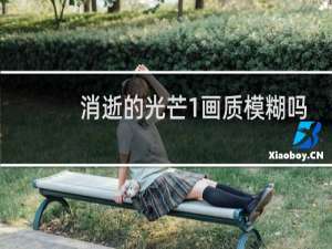 消逝的光芒1画质模糊吗