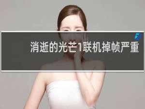 消逝的光芒1联机掉帧严重