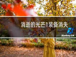 消逝的光芒1装备消失