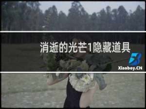 消逝的光芒1隐藏道具