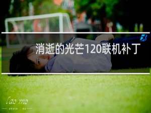 消逝的光芒1 联机补丁