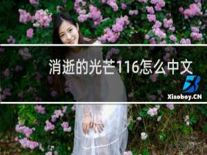消逝的光芒116怎么中文