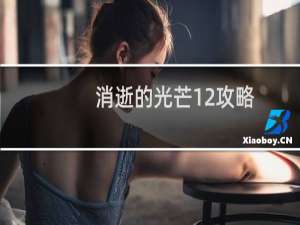 消逝的光芒12攻略