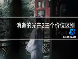 消逝的光芒2三个价位区别