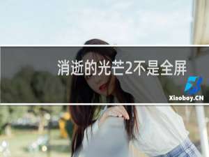 消逝的光芒2不是全屏