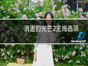 消逝的光芒2主线选项