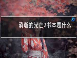 消逝的光芒2书本是什么