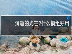 消逝的光芒2什么模组好用