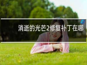消逝的光芒2修复补丁在哪