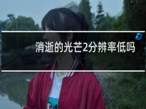 消逝的光芒2分辨率低吗