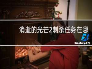 消逝的光芒2刺杀任务在哪