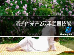 消逝的光芒2双手武器技能