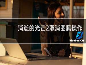 消逝的光芒2取消图腾操作