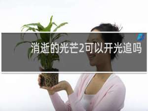 消逝的光芒2可以开光追吗