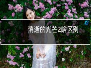 消逝的光芒2啥区别
