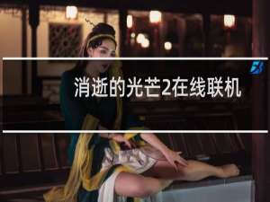 消逝的光芒2在线联机