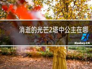 消逝的光芒2塔中公主在哪