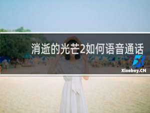 消逝的光芒2如何语音通话