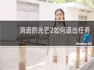 消逝的光芒2如何退出任务
