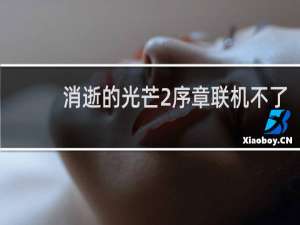 消逝的光芒2序章联机不了