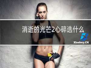消逝的光芒2心碎选什么