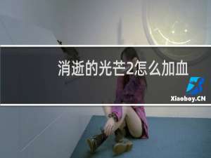 消逝的光芒2怎么加血