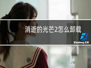 消逝的光芒2怎么卸载