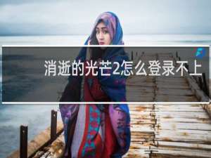 消逝的光芒2怎么登录不上