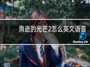 消逝的光芒2怎么英文语音